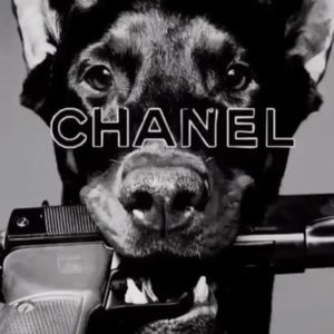 Meet your Posher, Erick